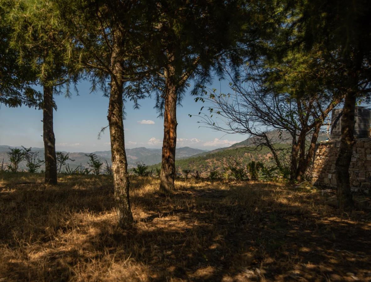 Blusalzz Homes - The Himalayan Bungalow, Almora - Uttarakhand Bagian luar foto